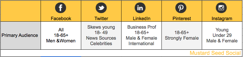 demographics-social-media